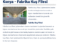 konya kuş filesi